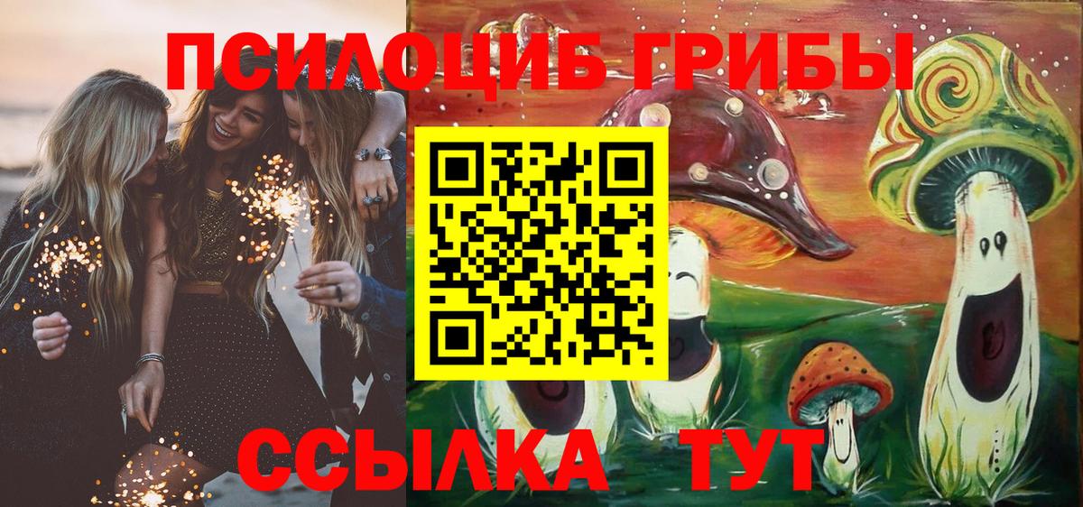 Псилоцибиновые грибы ЛСД  магазин продажи   Вход с VPN  Урус-Мартан  Псилоцибиновые грибы Psilocybine cubensis 